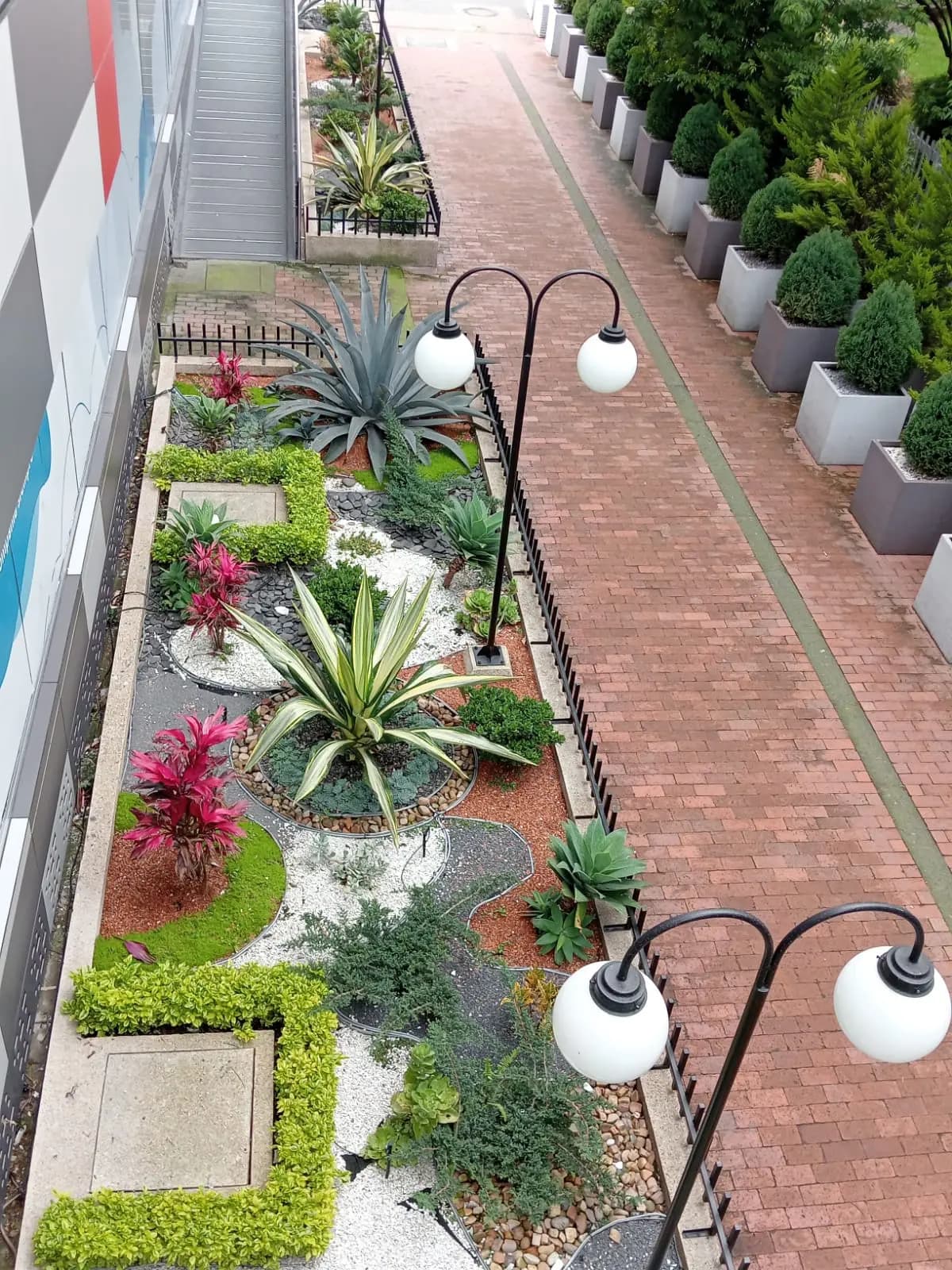 Nuestros proyectos
