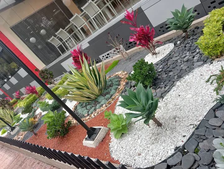 Nuestros proyectos