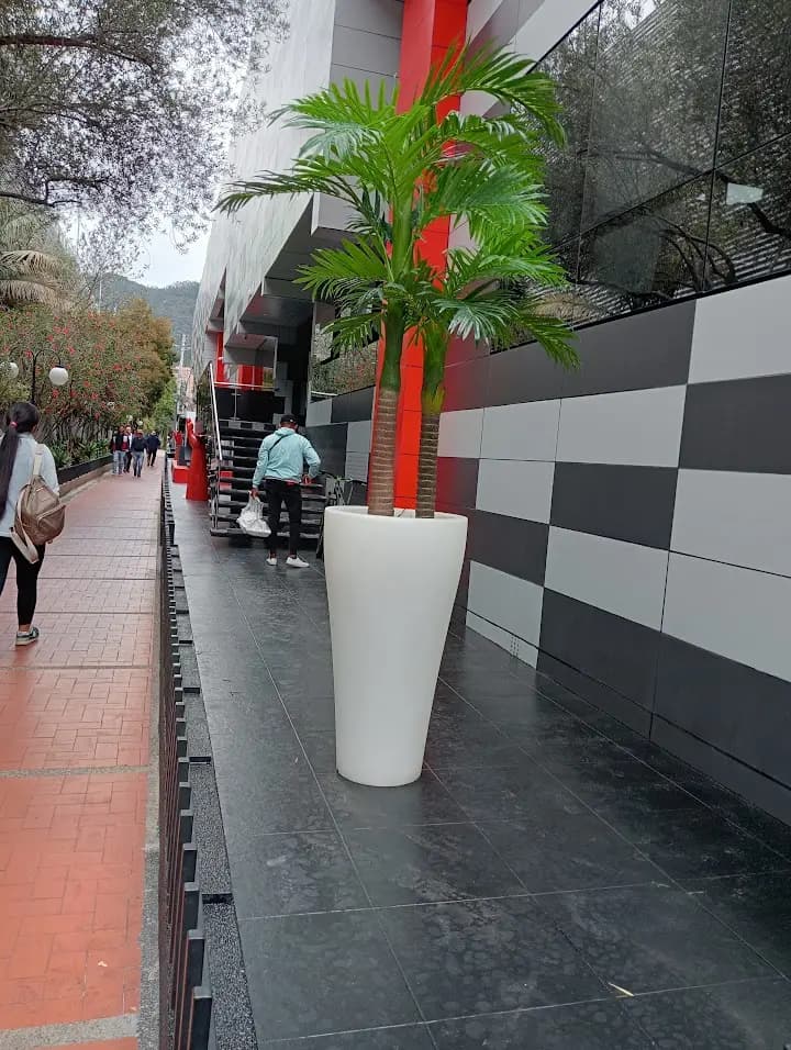 Nuestros proyectos