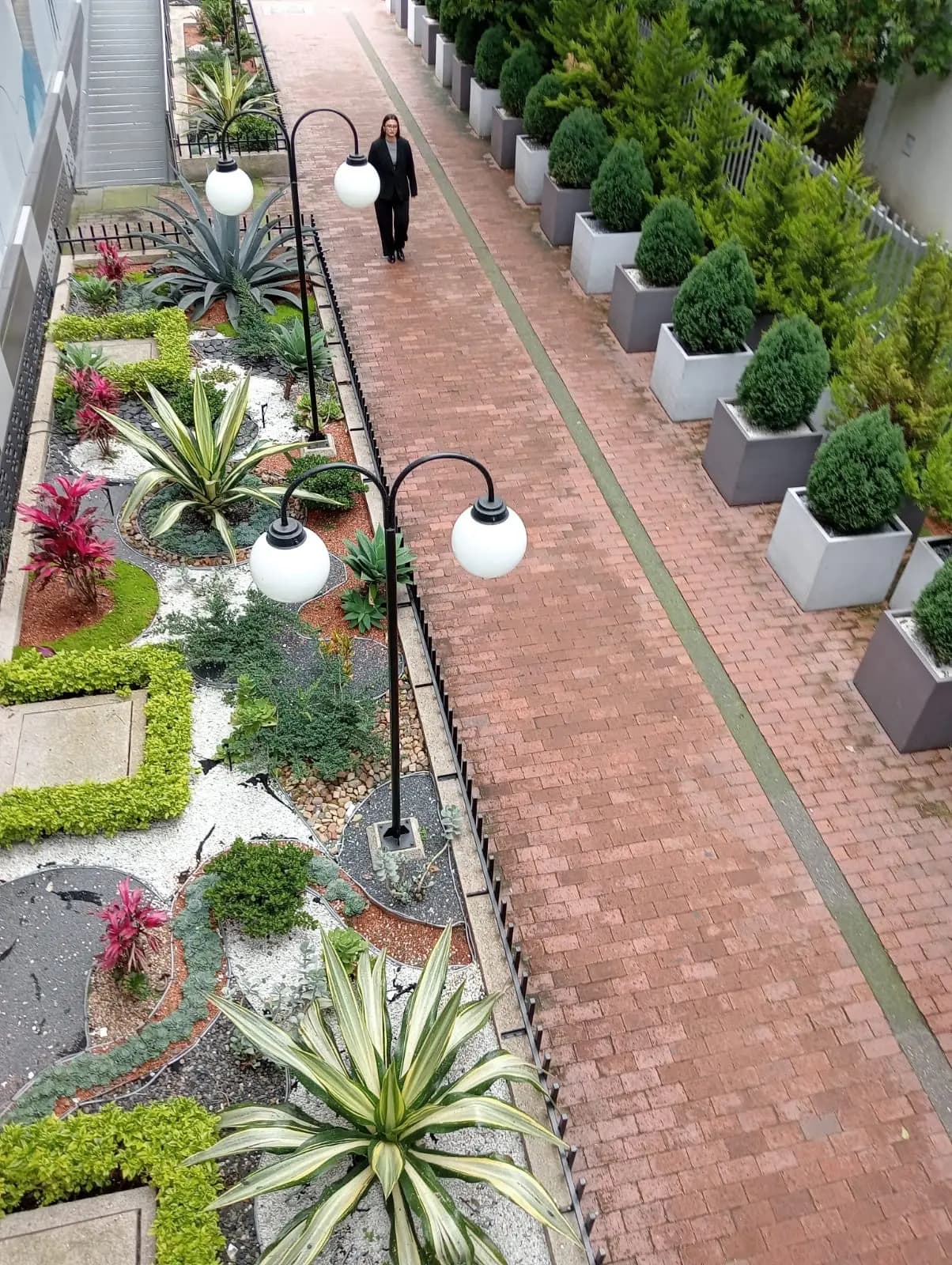 Nuestros proyectos